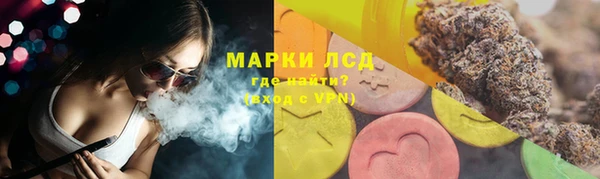 прущие грибы Алексин