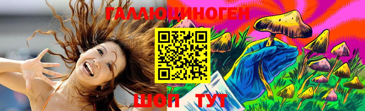 как найти   Галлюциногенные грибы мухоморы  Вход с VPN  Новокубанск 