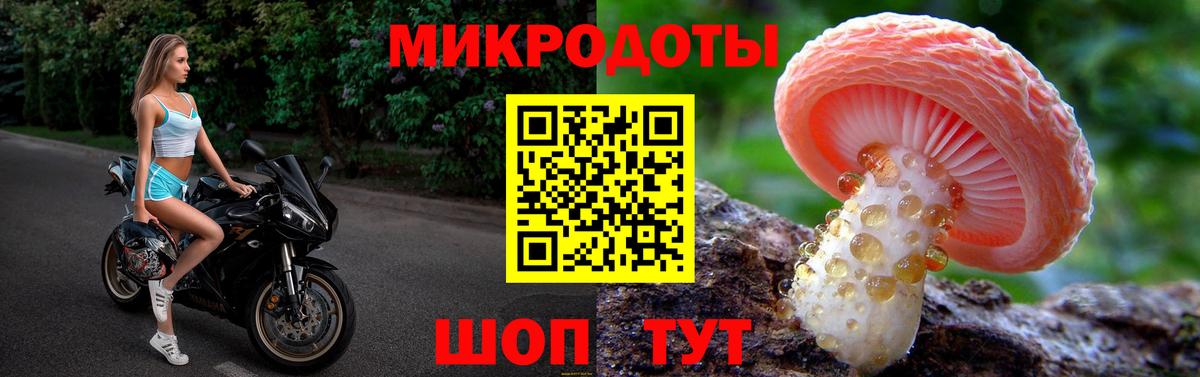 Псилоцибиновые грибы мицелий Новокубанск