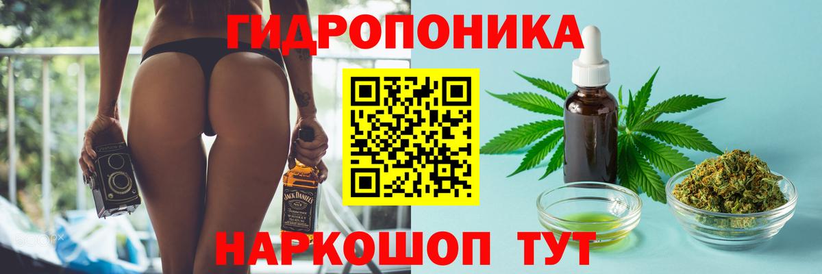 Бошки Шишки гибрид  МАРИХУАНА марихуана  Каннабис индика  Вход с VPN  Новокубанск  Бошки марихуана план 